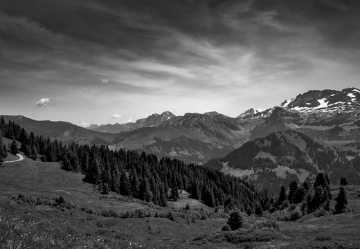 20220617-Leiterli-174-bewerkt