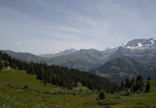 20220617-Leiterli-174
