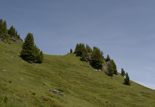 20220617-Leiterli-189