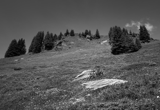 20220617-Leiterli-191
