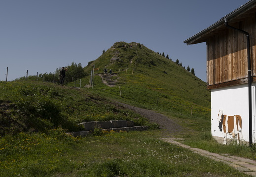 20220618-Rinderhorn-102