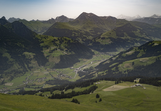 20220618-Rinderhorn-104