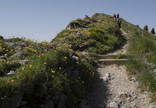20220618-Rinderhorn-106