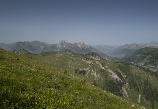 20220618-Rinderhorn-107