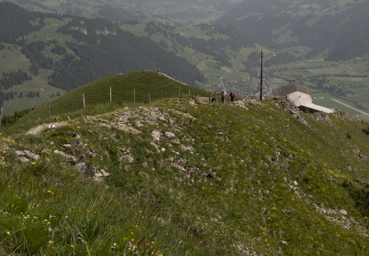 20220618-Rinderhorn-108
