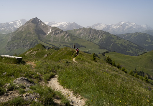 20220618-Rinderhorn-115