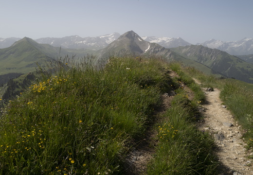 20220618-Rinderhorn-116
