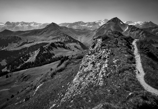 20220618-Rinderhorn-120-bewerkt