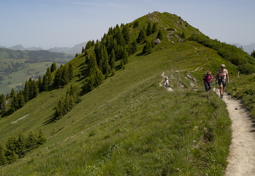 20220618-Rinderhorn-132