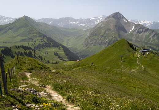 20220618-Rinderhorn-134