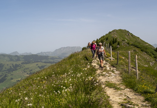 20220618-Rinderhorn-135