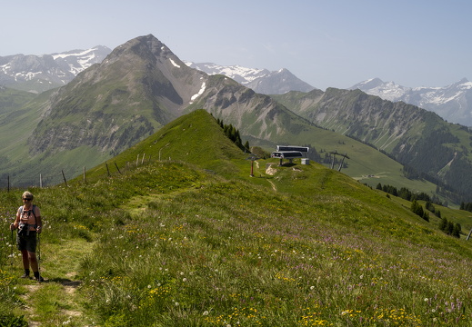 20220618-Rinderhorn-140