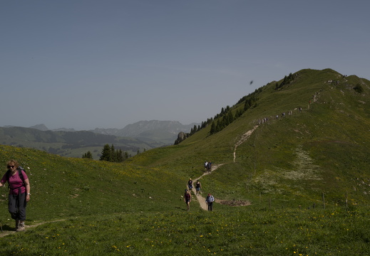 20220618-Rinderhorn-145