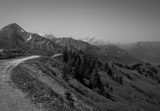 20220618-Rinderhorn-146