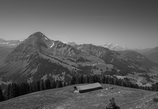 20220618-Rinderhorn-151