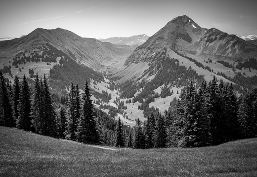 20220618-Rinderhorn-156-bewerkt