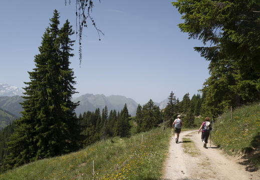 20220618-Rinderhorn-166
