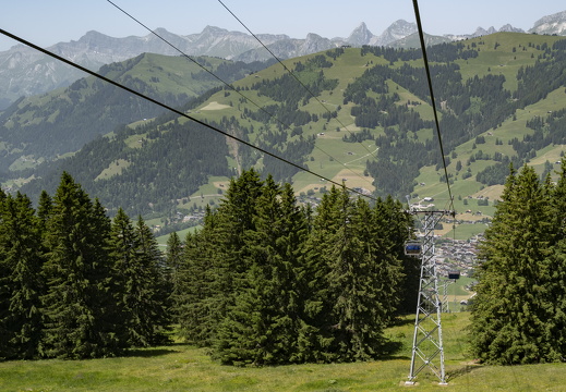 20220618-Rinderhorn-196