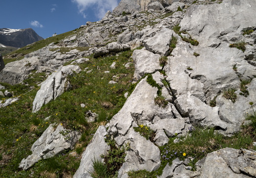 20220620-Sanetschsee-151