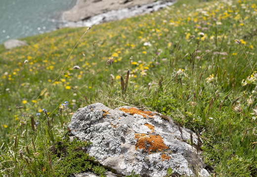 20220620-Sanetschsee-181