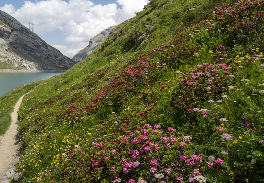 20220620-Sanetschsee-251