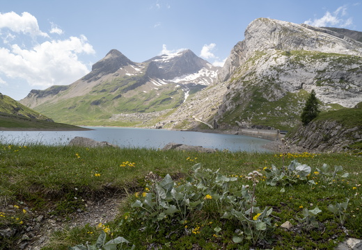 20220620-Sanetschsee-293