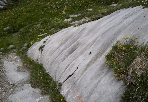 20220620-Sanetschsee-306