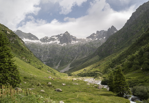 20220621-Grimsel-Furka-Susten-108