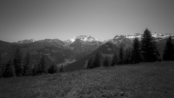 20220605-Zweisimmen-Cosina15mm-Delta-123