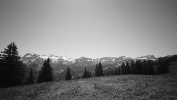 20220605-Zweisimmen-Cosina15mm-Delta-125