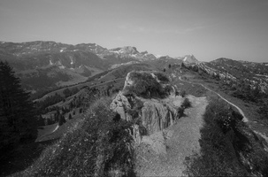 20220605-Zweisimmen-Cosina15mm-Delta-141