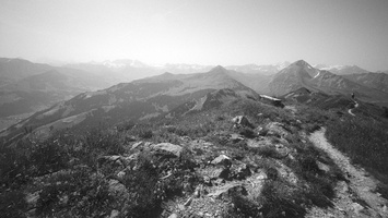 20220605-Zweisimmen-Cosina15mm-Delta-160