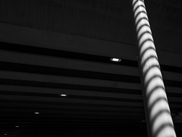 20220813-Fietsen-1058