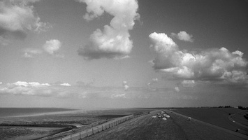 20220820-Canon7-35mmKomura-Delta100-134