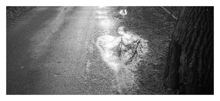 20230119-TopconSuperD-35mmAngenieux-Delta100-Loenen-108