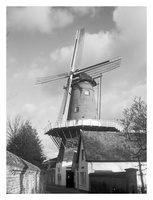 20230119-TopconSuperD-35mmAngenieux-Delta100-Loenen-116