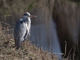 20230128-Loenen-116