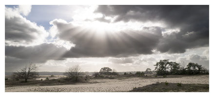 20230204-Kootwijkerzand-138