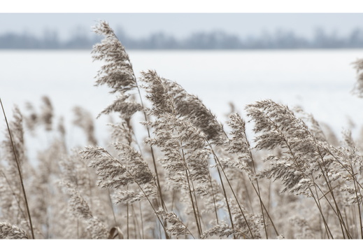 20230212-Loenen-106