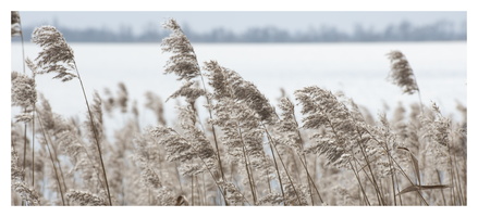 20230212-Loenen-106