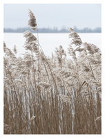 20230212-Loenen-107