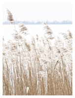 20230212-Loenen-108