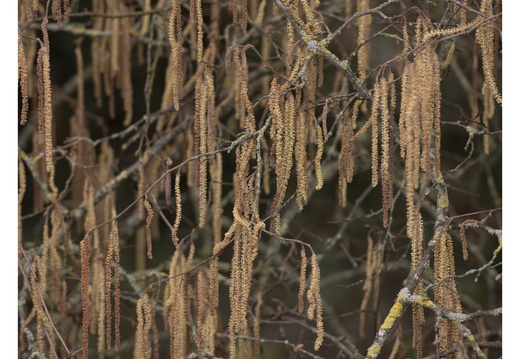 20230212-Loenen-155