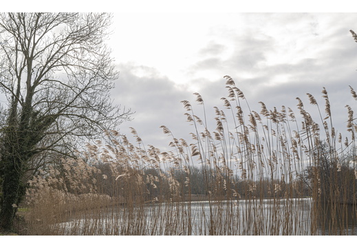 20230212-Loenen-162