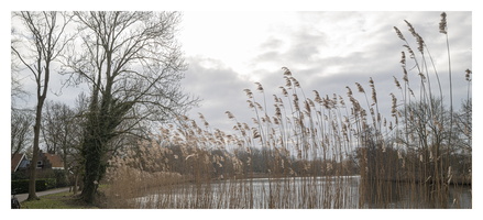 20230212-Loenen-162