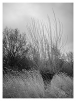 20230218-Fietsen-103