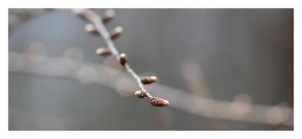 20230312-LageVuursche-103