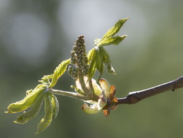 20230402-Loenen-115