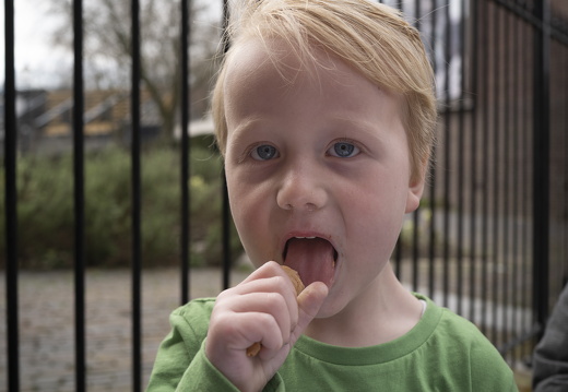 20230408-Vossenjacht-283