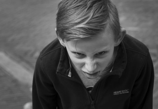 20230408-Vossenjacht-297